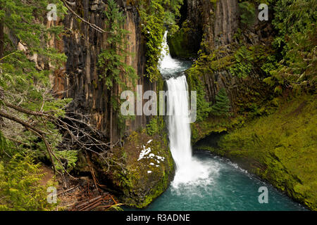 OR02459-00...OREGON - Toketee Falls surrounded by trees and columnar basalt on the Clearwater River in Umpqua National Forest. Stock Photo