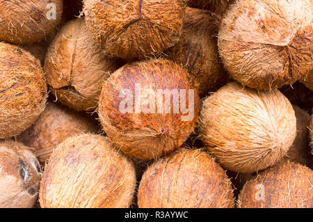 Fresh tasty tropical Caribbean island coconut fruit. Seamless colorful abstract pattern design of decorative element object. Backdrop, background, tex Stock Photo