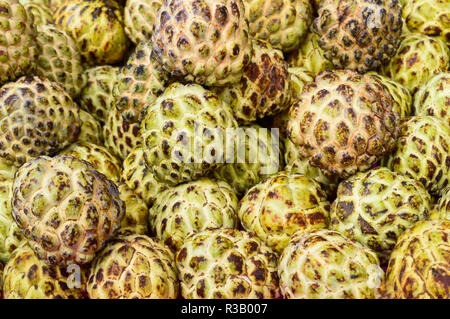 Sugar-apple, sweet sop, or custard apple botanical name ( Annona reticulata) Close up. Seamless colorful abstract pattern design object. Backdrop, bac Stock Photo