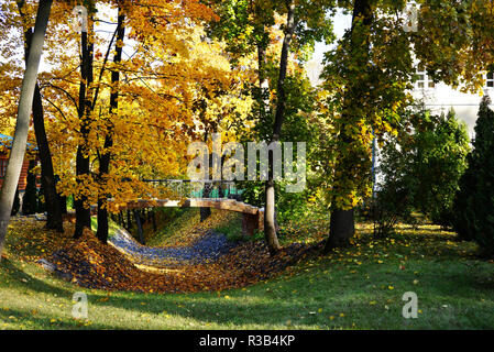 Beautiful bridge over the dry riverbed in the Moscow park near the White Church. The bridge is surrounded by beautiful golden foliage and green trees. Stock Photo