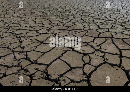 Dry cracks in the soil, Edersee, Edersee nature park Park, Kellerwald National Park, Bringhausen, Edertal, Hesse, Germany Stock Photo