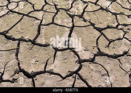 Dry cracks in the soil, Edersee, Edersee nature park Park, Kellerwald National Park, Bringhausen, Edertal, Hesse, Germany Stock Photo