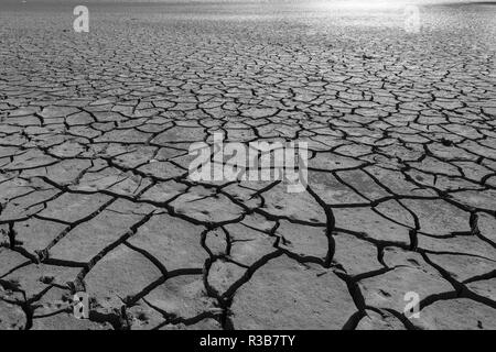 Dry cracks in the soil, monochrome, Edersee, Edersee nature park Park, Kellerwald National Park, Bringhausen, Edertal, Hesse Stock Photo