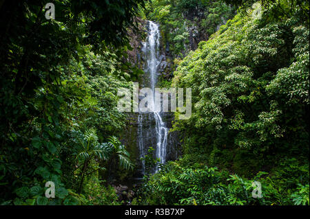 Makahiku falls in green vegetation, Haleakalā National Park, Maui, Hawaii, USA Stock Photo