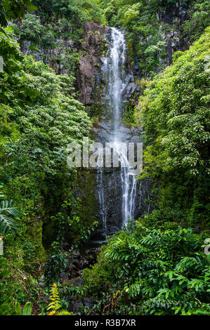 Makahiku falls in green vegetation, Haleakalā National Park, Maui, Hawaii, USA Stock Photo