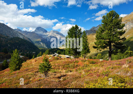 Mountain landscape at the Albulapass in autumn, Albulatal, Val d'Alvra, Canton Graubünden, Switzerland Stock Photo