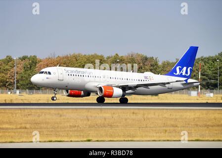 Airbus A320 (OY-KAN) of SAS landing on Frankfurt airport | usage worldwide Stock Photo