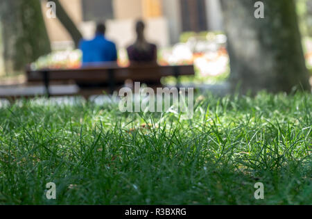 Abstract intentionally blurred image of a couple on a bench from behind with the green sharply focused grass in the foreground Stock Photo
