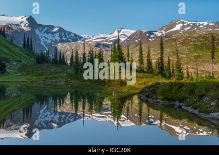 Canada, British Columbia, Selkirk Mountains. Marmot Lake reflection. Stock Photo