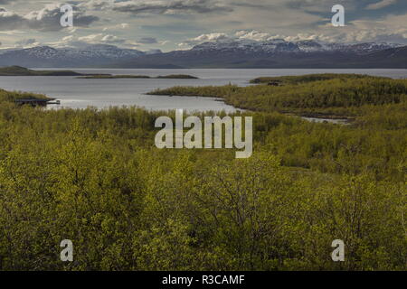 Arctic Sweden in spring, looking across boreal birch woodland and bog to Lake Tornetrask near Abisko. Sweden. Stock Photo