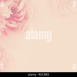 Square background with pink peony. Vintage image with copyspace for your design. Stock Photo