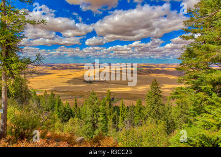 USA, Colorado, Colfax. Mountain and farm landscape. Credit as: Fred Lord / Jaynes Gallery / DanitaDelimont.com Stock Photo