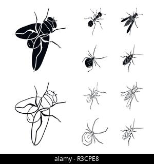 An insect arthropod, an osa, a spider, a cockroach. Insects set collection icons in black,outline style vector symbol stock isometric illustration . Stock Vector