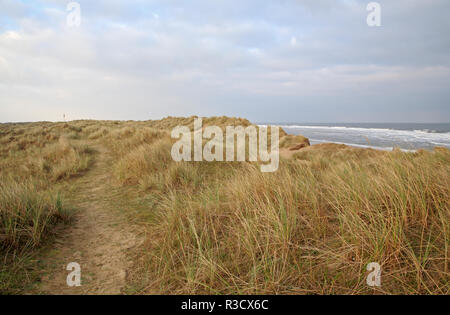 A view of sand dunes with worn paths overlooking the beach and sea on the East Norfolk coast at Winterton, Norfolk, England, United Kingdom, Europe. Stock Photo