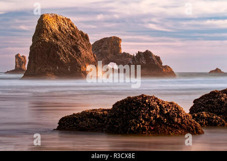 Sea Lion Rock from Indian Beach at sunset, Ecola State Park, Oregon Stock Photo