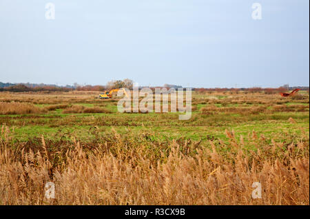 A JCB digger maintaining drainage ditches on low-lying grazing marsh on the Norfolk Broads at West Somerton, Norfolk, England, United Kingdom, Europe. Stock Photo