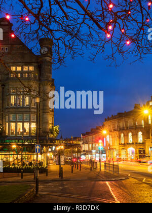 Red fairy lights in a tree at Bettys on Parliament Street in Harrogate North Yorkshire England Stock Photo