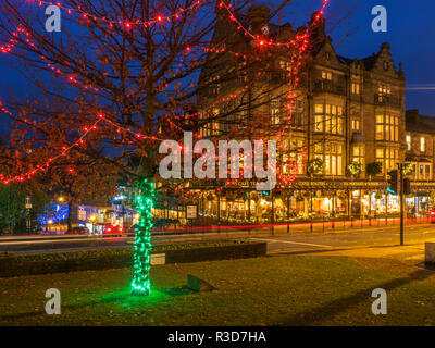 Red fairy lights in a tree at Bettys on Parliament Street in Harrogate North Yorkshire England Stock Photo