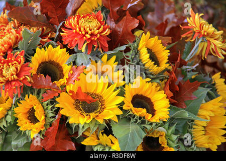 colorful autumn bouquet with sunflowers Stock Photo
