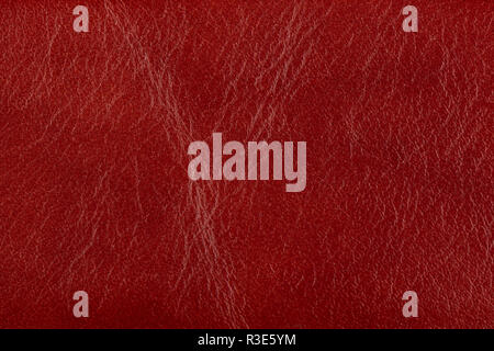 Red leather surface as a background, skin texture. Skin texture  Stock Photo