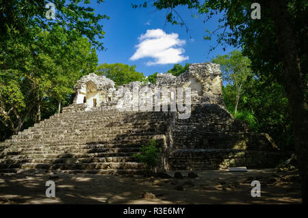Steps of the pyramid stairs. Hidden in jungle Calakmul archeological complex, Mexico Stock Photo