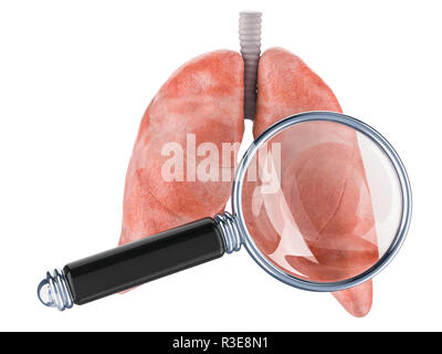 Glass human lungs Stock Photo - Alamy