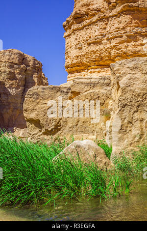 famous mountain oasis chebika in tunisia,northern africa Stock Photo