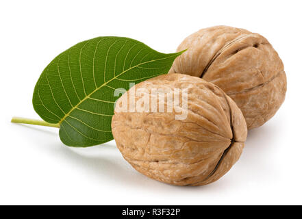 Walnuts with leaves isolated on white background Stock Photo