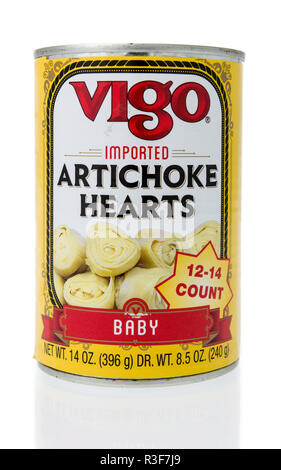 Winneconne, WI - 11 November 2018: A can of Vigo artichoke hearts on an isolated background. Stock Photo