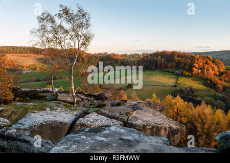 Autumn colours in late afternoon sunshine, Cratcliffe Tor, Peak District National Park, Derbyshire Stock Photo