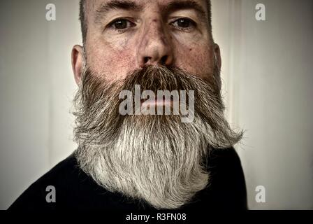 Middle aged man with large grey hipster beard Stock Photo