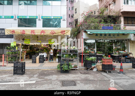 KOWLOON, HONG KONG - APRIL 21, 2017: Florist Shops at Flowers Market in Kowloon, Hong Kong. Stock Photo