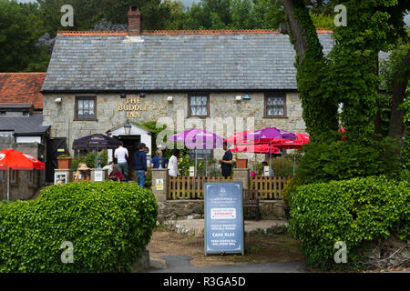 The Buddle Smuggler's Inn. St Catherine's Rd, Niton, Ventnor PO38 2NE. Isle of Wight. UK. (98) Stock Photo