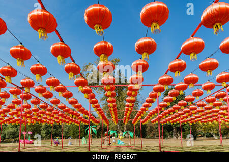Los Angeles, NOV 17: Morning view of the colorful lantern of Moonlight Forest Festival on NOV 17, 2018 at Los Angeles Stock Photo