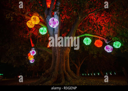 Los Angeles, NOV 21: Beautiful colorful lantern of Moonlight Forest Festival on NOV 21, 2018 at Los Angeles Stock Photo
