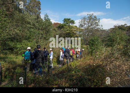 A visit to the Institute For Nature Study in Tokyo, Japan. It is an urban garden oasis, showing what wild Tokyo looked like. Stock Photo