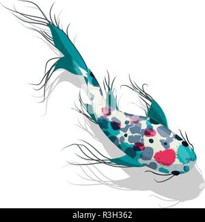 Carp. Koi Fish against white background Stock Vector