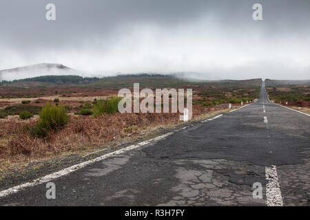 empty never ending road in the island madeira Stock Photo