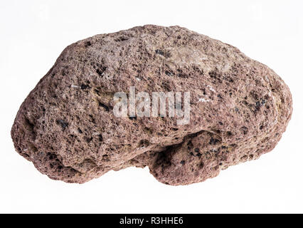 macro photography of natural mineral from geological collection - brown pumice stone on white background Stock Photo