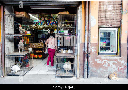 Costa Rica’s Central Market shop Stock Photo