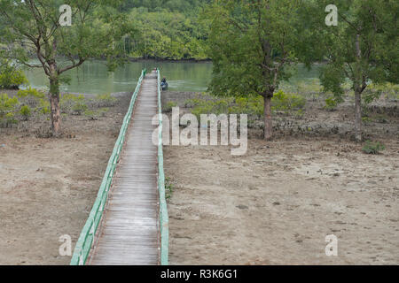 Bangladesh, Sundarbans. Largest littoral mangrove forest in the world. Sundarbans National Park near Hiron Point. Park boardwalk. Stock Photo