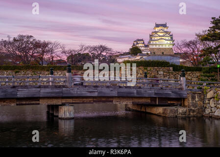 himeji castle at night in himeji, hyogo, japan Stock Photo