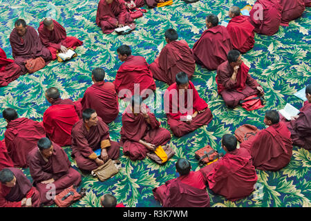 Monks studying Buddhist scripture in Seda Larung Wuming, the world's largest Tibetan Buddhist institute, Garze, Sichuan Province, China Stock Photo