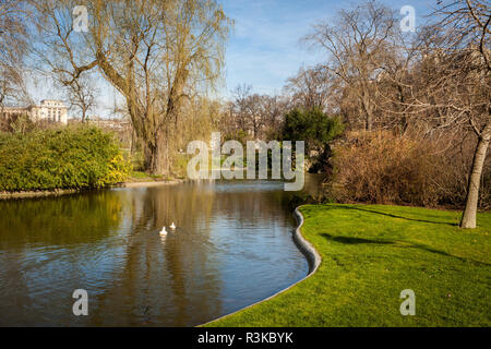 green park with cypress trees,plants and reeds Stock Photo