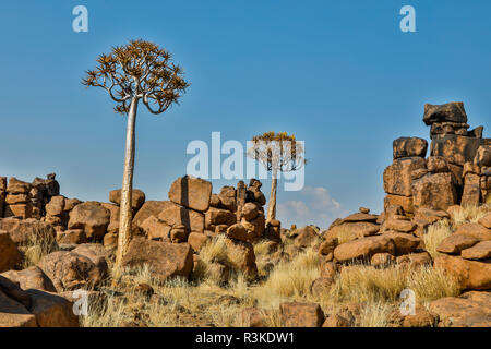 Africa, Namibia, Keetmanshoop. Giants' Playground at the Quiver tree Forest Rest Camp Stock Photo