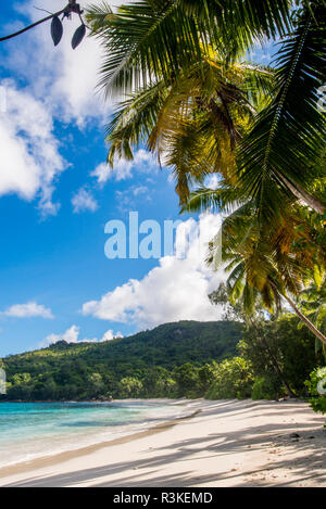 Petit Police Bay Beach, Mahe, Republic of Seychelles, Indian Ocean. Stock Photo