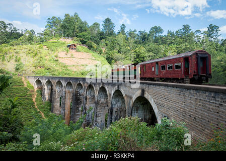 A train crosses the tracks on the Nine arch bridge in Sri Lanka Stock Photo