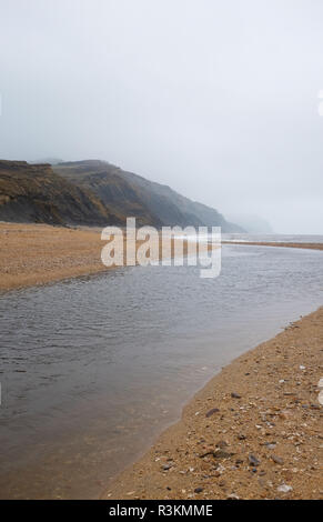 On the famous Jurassic coast beach between Charmouth and Lyme Regis in West Dorset UK