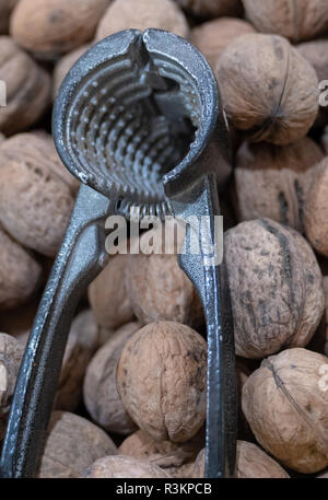 Walnut background and a nutcracker lying on them Stock Photo