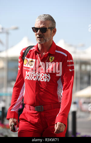 Abu Dhabi, UAE. 23rd November, 2018. Sport  Grand Prix Formula One Abu Dhabi 2018 In the pic: Maurizio Arrivabene (ITA) Ferrari Team Principal Credit: LaPresse/Alamy Live News Stock Photo